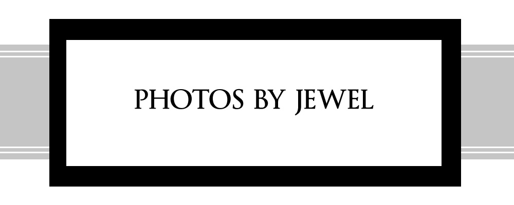Photos By Jewel Blog logo